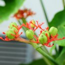 산호유통 이미지