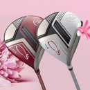 CS골프클럽 이미지