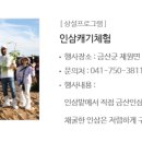 금산 태권도 체육관 이미지