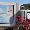 도서출판 푸른감성
