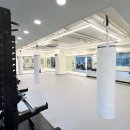 고트복싱(G.O.A.T Boxing) 이미지