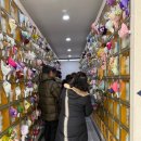 파주한빛병원 이미지