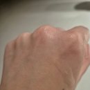 엘리먼츠 | 헤어에센스 추천 아베다 라이트 엘리먼츠 스무딩 플루이드 사용 후기