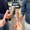 션오비 | 대동제에 가볼게 하나둘셋 얍 / 신촌 혼신꼬치, 소우오뎅:: 용산 히비, 오오비:: 엘리아나 호텔 하객후기