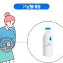 유당 이미지