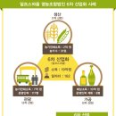 창조유통