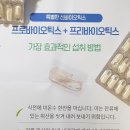 스카텀컴퍼니