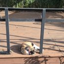 토탈 카센타 이미지