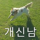 신남