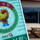 양양하다 이미지