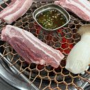 무궁화카써비스 이미지