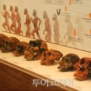 녹색의 추억 이미지