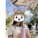 리스본렌트카 | [포르투갈 5일차] 리스본 렌트카 여행: 라마다 호텔 주차장 진입 방법 &amp; 오비두스에서 리스본으로...