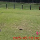 동코스 1홀 해저드 특설티 설치 이미지