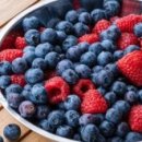 (주)바이오테크 이미지