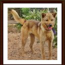 미선농장 2 이미지