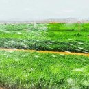 석당농장 이미지