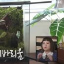 비바리움
