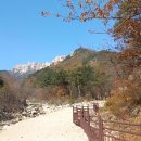 비데랜드(주) 이미지