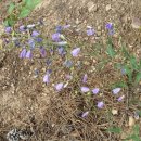 뜨락농원 이미지