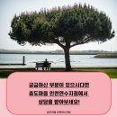 효도마을연수지점 이미지