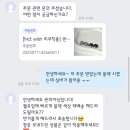 씬피어싱 | 씬피어싱 :: 유니크한 악세사리 쇼핑몰 XIN PIERCING 써지컬스틸 여름 귀걸이 추천 내돈내산