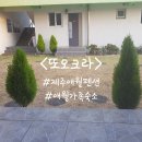 제주여행오크라