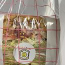 GS25성심병원점 이미지