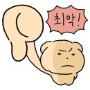 디자인첫봄 네이버블로그