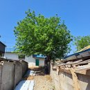 계동경로당 이미지