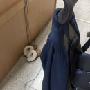 광주광역시 동구 지산2동 주민센터 소회의실 | 장마, 이게 맞나