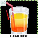 저스트도그 단구점 이미지