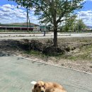 원한양마트 이미지