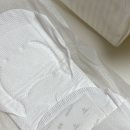 선 | 유기농생리대 추천 오드리선 TCF 솔직후기