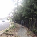 남파랑길 6코스 이미지