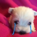 우송고등학교 | 내일머해(+수능후기)