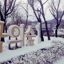 도심공원 이미지