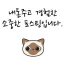 규니왕타코 이미지
