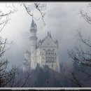 우성자동차 이미지