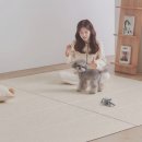 피오르(PIORR) | 피오르 강아지매트 - 반려동물을 위한 최고의 바닥 매트 선택!
