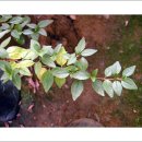 부자농원 이미지