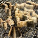 RR-49[구이로]-상-1 | 평택 오성ㅣ백두수산 거대장어ㅣ 장어구이 대형식당 가족모임 보양식 맛집 내돈내산 솔직 후기