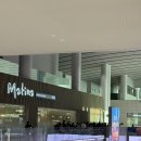 수호카서비스 | 오키나와 여행 오달렌터카 나하공항점 내돈내산 이용 후기 렌트카 추천