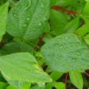 보경부동산공인중개사사무소 이미지