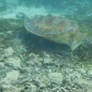 까사보니따 이미지