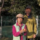 오늘도 골프 이미지