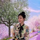 성유리 카카오 검색결과