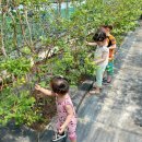 선바위농장 이미지