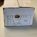 초아스마트팜