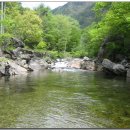 대동LPG충전소 이미지